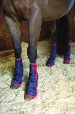 WORLD EQUSTRN BRNDS Equilibrium Therapy® Magnetic Chaps