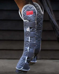 WORLD EQUSTRN BRNDS Equilibrium Therapy® Magnetic Hock Boot
