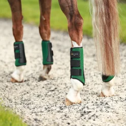WORLD EQUSTRN BRNDS Equilibrium Tri-Zone Impact Hind Boots