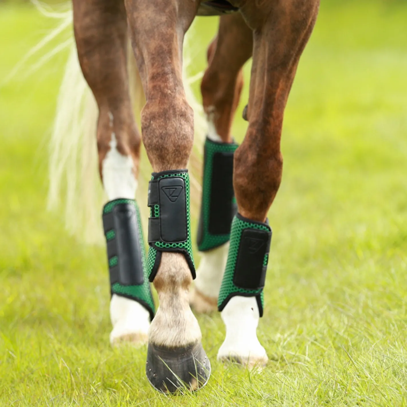 WORLD EQUSTRN BRNDS Equilibrium Tri-Zone Impact Front Boots