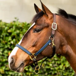 EQUINAVIA Pegasus Ribbon Breakaway Halter
