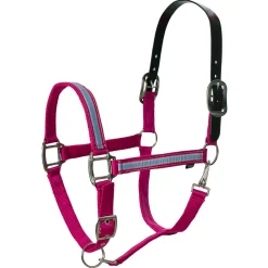 EQUINAVIA Pegasus Ribbon Breakaway Halter