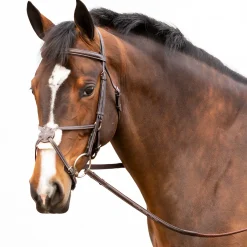 EQUINAVIA Valkyrie Fancy-Stitched Figure-8 Bridle & Reins