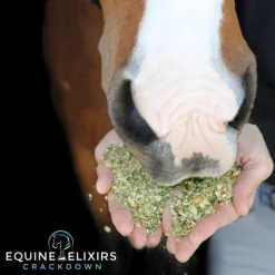 EQUINE ELIXIRS INC Equine Elixirs Crackdown®