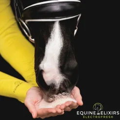 EQUINE ELIXIRS INC Equine Elixirs Electrofresh