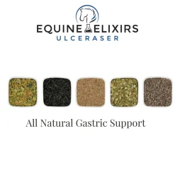 EQUINE ELIXIRS INC Equine Elixirs Ulceraser®