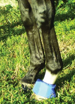 EZ ICE Hoof - Founder Pack