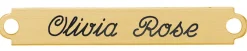DOVER DROPSHIP Fancy Martingale Nameplate