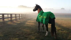 FARRIERS FIX Farriers' Fix