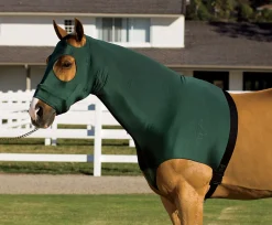 INT RIDING HELMET Flex Rider® Stretchies™ Hood