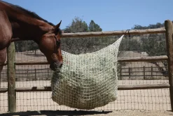 KENSINGTON Freedom Feeder® Extended Day Net - 1"