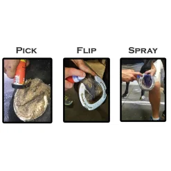 RJ MATTHEWS Groom’s Hand Thrush Solution®