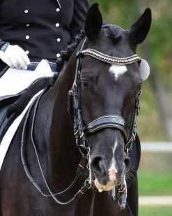 HALTER EGO Aurelia Rose Gold Black Patent Double Bridle