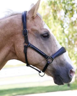 HALTER EGO ® Doc Marten Padded Halter