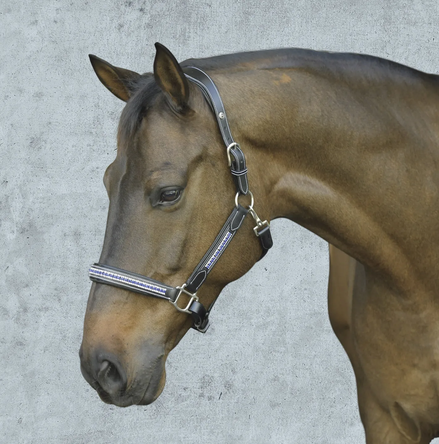 JPC EQUESTRIAN HDR Padded Jewel Halter