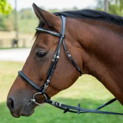 JPC EQUESTRIAN Henri de Rivel Clincher Bridle