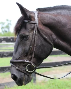 JPC EQUESTRIAN Henri de Rivel Piaffe Mono Crown Bridle with Flash Noseband & Patent Leather