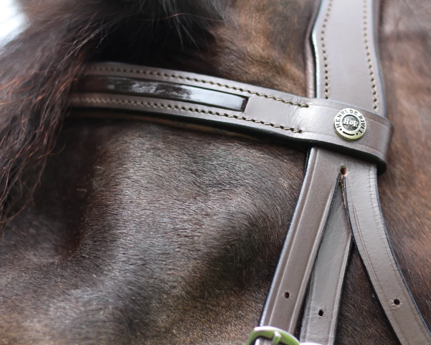 JPC EQUESTRIAN Henri de Rivel Piaffe Mono Crown Bridle with Flash Noseband & Patent Leather