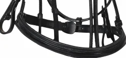 JPC EQUESTRIAN Henri de Rivel Piaffe Mono Crown Bridle with Flash Noseband & Patent Leather