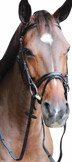 JPC EQUESTRIAN Henri de Rivel Piaffe Mono Crown Bridle with Flash Noseband & Patent Leather