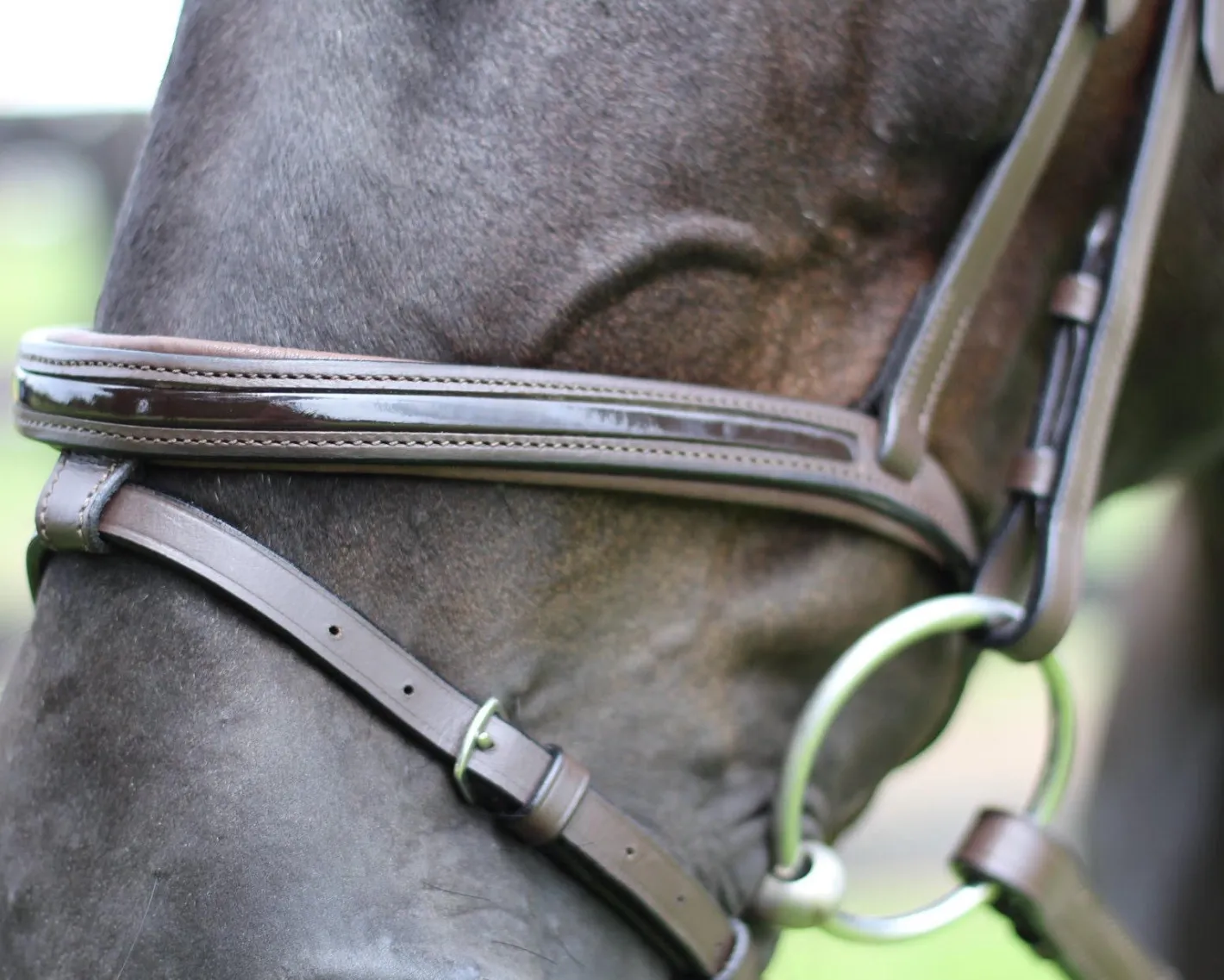 JPC EQUESTRIAN Henri de Rivel Piaffe Mono Crown Bridle with Flash Noseband & Patent Leather