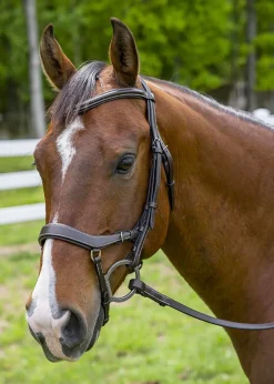 JPC EQUESTRIAN Henri de Rivel Pro Anatomical Bridle