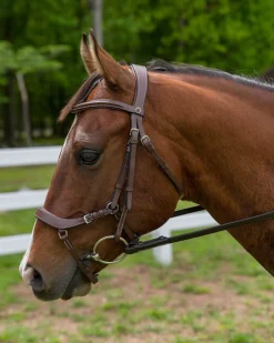 JPC EQUESTRIAN Henri de Rivel Pro Anatomical Bridle