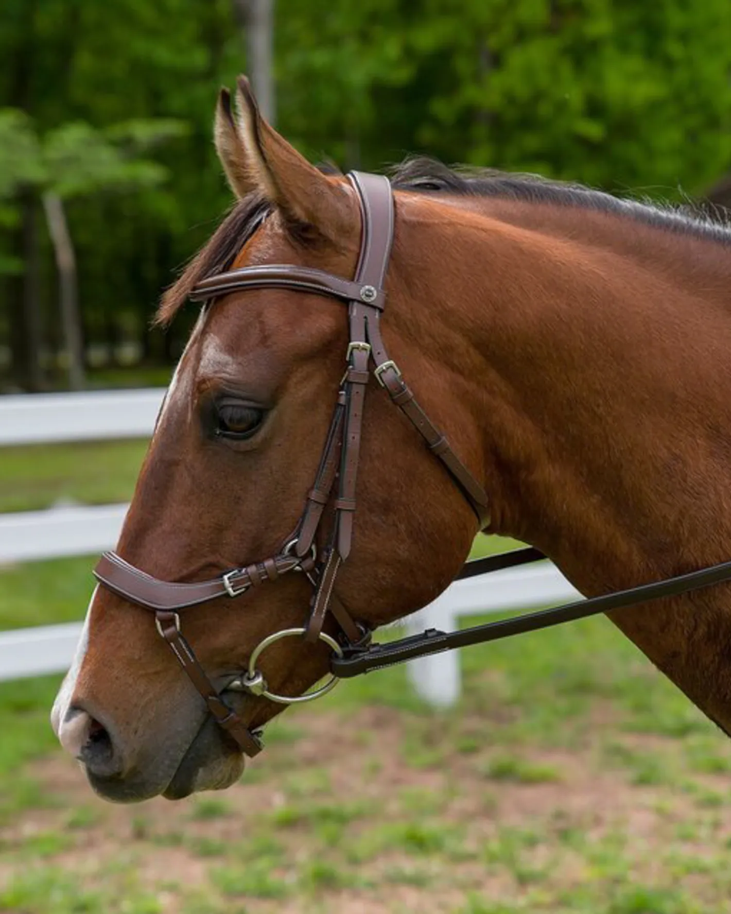 JPC EQUESTRIAN Henri de Rivel Pro Anatomical Bridle