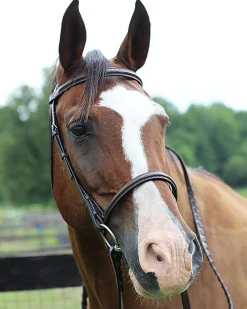 JPC EQUESTRIAN Henri de Rivel Pro Fancy Raised Bridle with Laced Reins