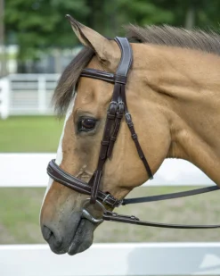 JPC EQUESTRIAN Henri de Rivel Pro Mono Crown Padded Wide Noseband Bridle