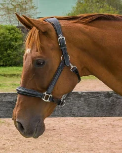 JPC EQUESTRIAN Henri de Rivel Stress Free Halter with Fancy Contrast Stitching