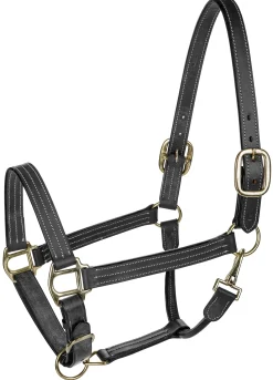 JPC EQUESTRIAN Henri de Rivel Triple-Stitched Halter