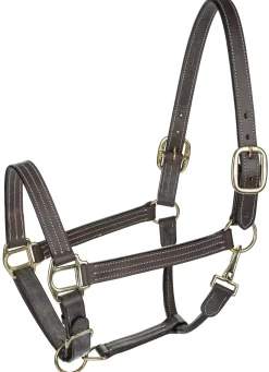 JPC EQUESTRIAN Henri de Rivel Triple-Stitched Halter