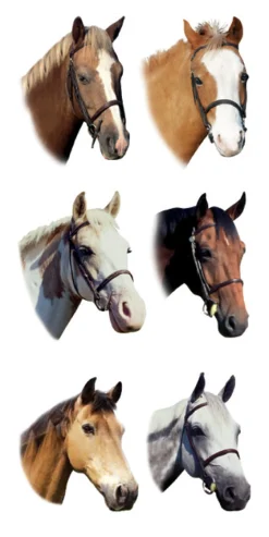 Kids KELLEY AND COMPANY Horse Stickers