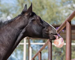 ANIMAL HEALTH INT Horsemen’s Pride™ Jolly Salt Snack, 2.2 Pounds