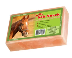 ANIMAL HEALTH INT Horsemen’s Pride™ Jolly Salt Snack Brick
