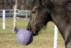 HORSEMEN S PRIDE Horsemen's Pride™ Scented Jolly Ball®