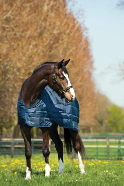 HORSEWARE ® Ireland 200 Gram Blanket Liner
