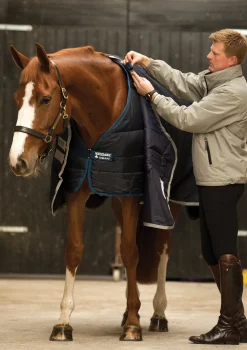 HORSEWARE ® Ireland 300 Gram Blanket Liner