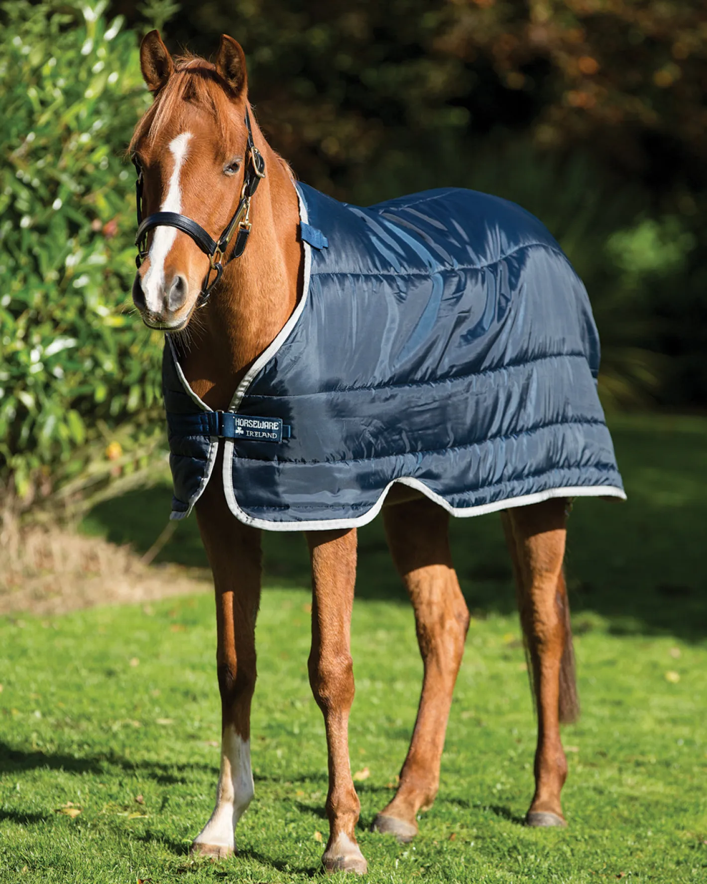 HORSEWARE ® Ireland 100 Gram Pony Blanket Liner