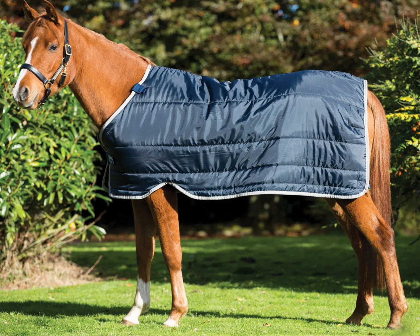 HORSEWARE ® Ireland 100 Gram Pony Blanket Liner