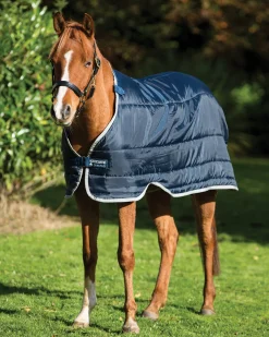 HORSEWARE ® Ireland 300 Gram Pony Blanket Liner