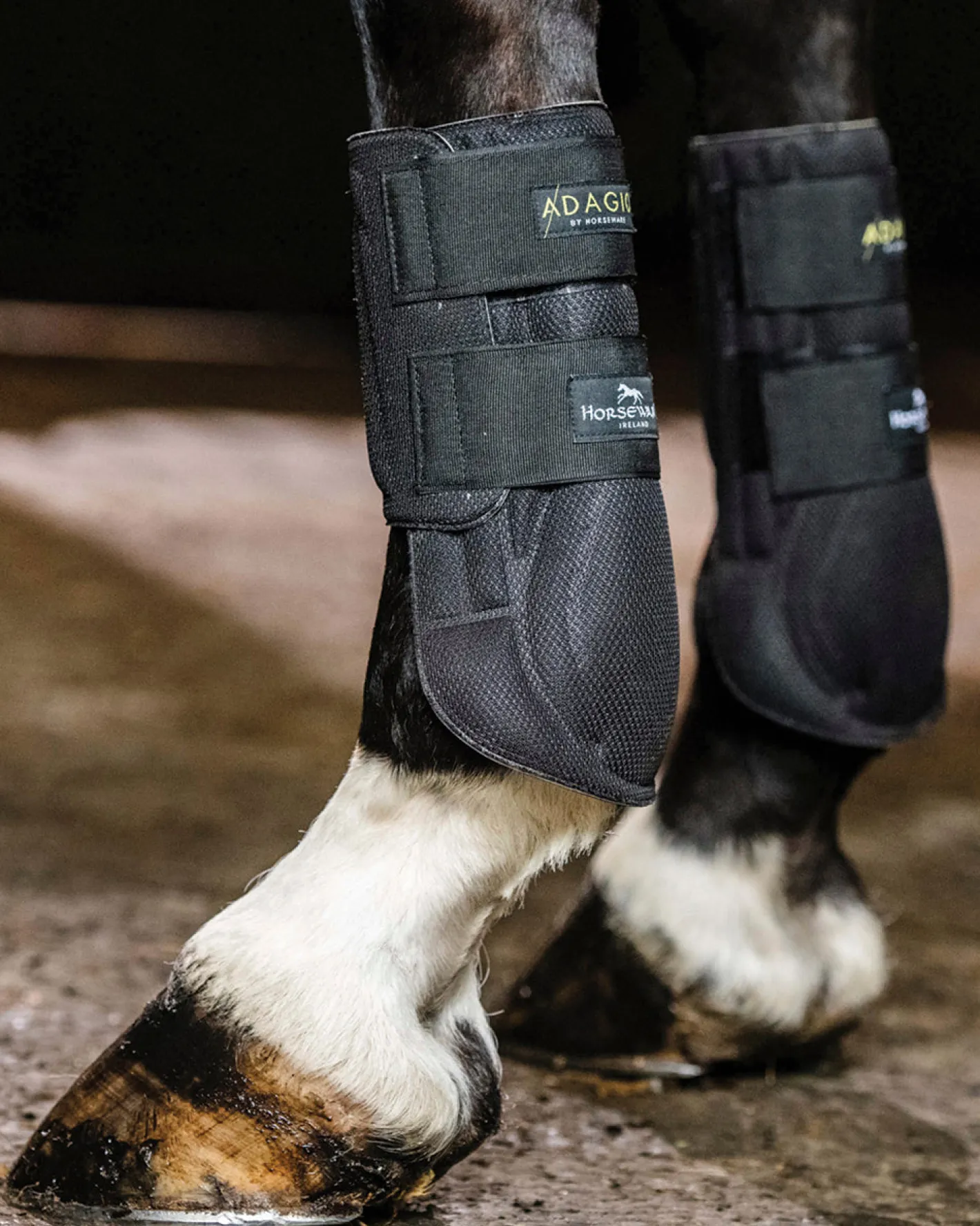 HORSEWARE ® Ireland Adagio Boots