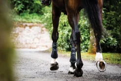 HORSEWARE ® Ireland Adagio Boots