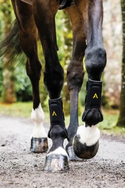 HORSEWARE ® Ireland Adagio Boots