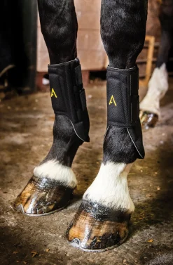 HORSEWARE ® Ireland Adagio Boots