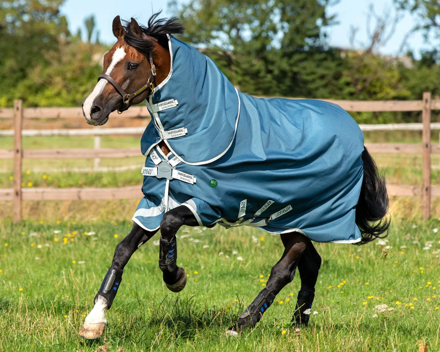 HORSEWARE ® Ireland Amigo® AmEco 12 Plus Lightweight Turnout Blanket
