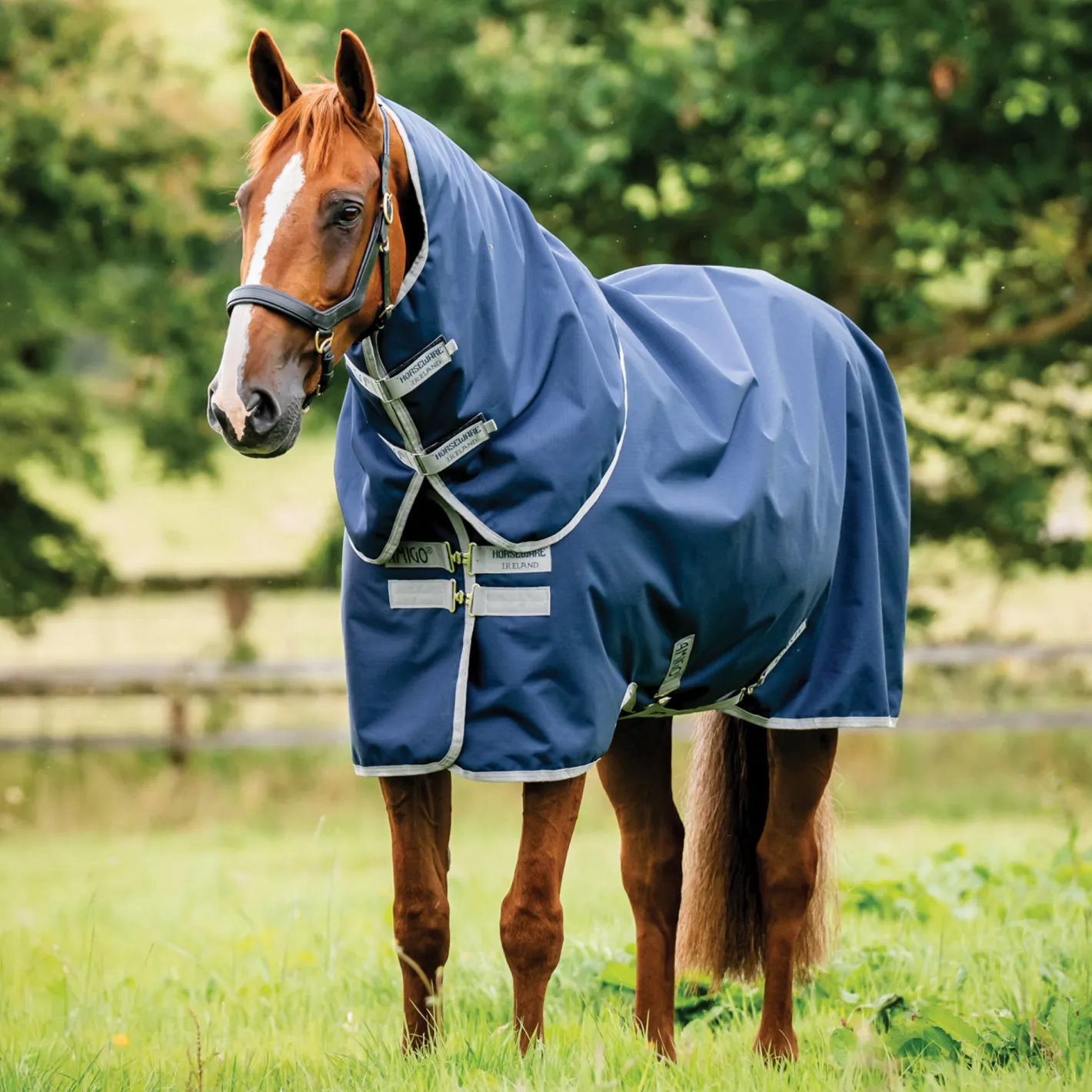 HORSEWARE ® Ireland Amigo® 900D Ripstop Plus 200 Gram Turnout Blanket-Core Colors