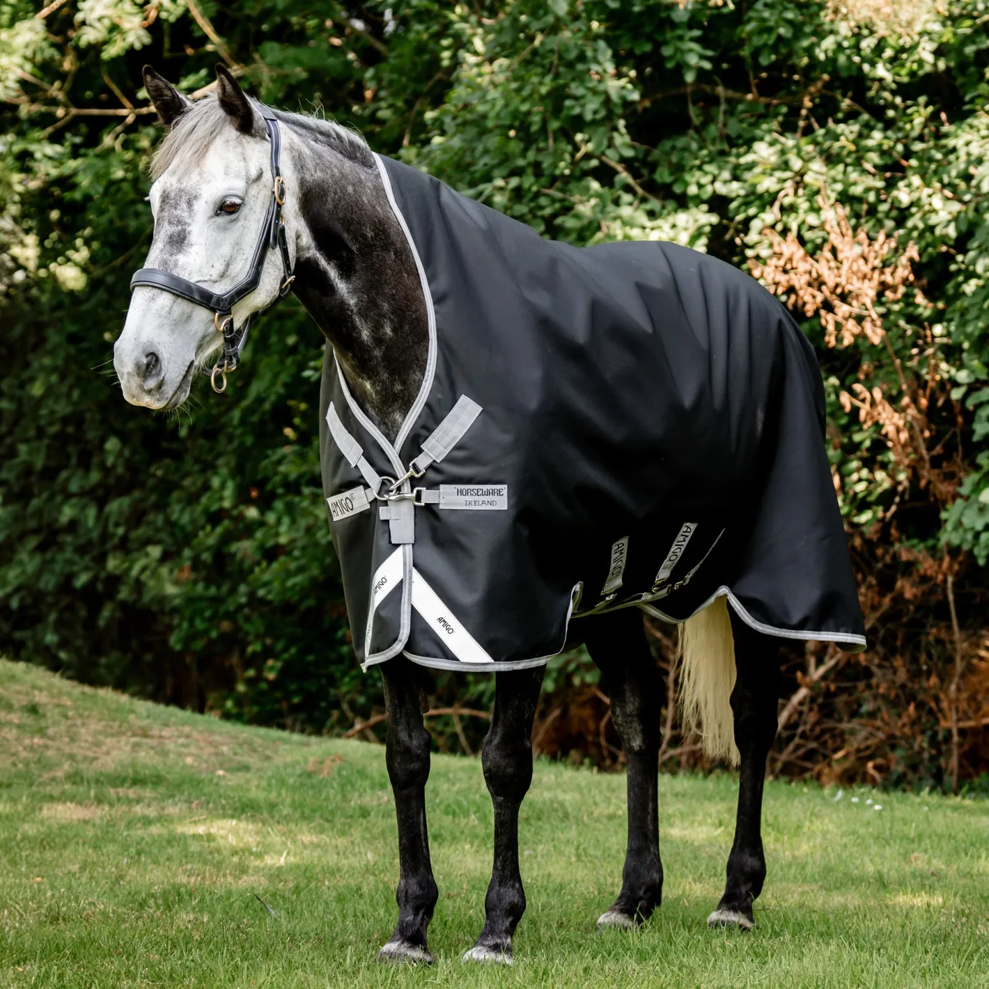 HORSEWARE ® Ireland Amigo® 1200D Wug Turnout–250 Grams
