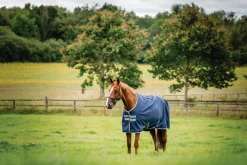 HORSEWARE ® Ireland Amigo® 900D Ripstop 0 Gram Turnout Sheet